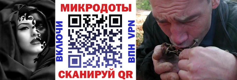 Галлюциногенные грибы Cubensis цены Новокузнецк
