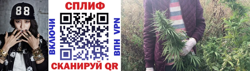 Каннабис LSD WEED  OMG вход  Новокузнецк  где продают наркотики 